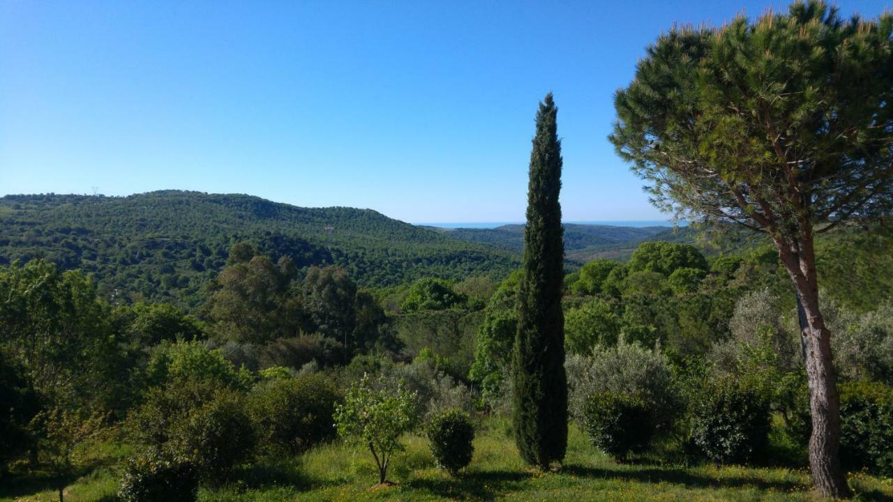 Villa Degli Olmi Allumiere Buitenkant foto