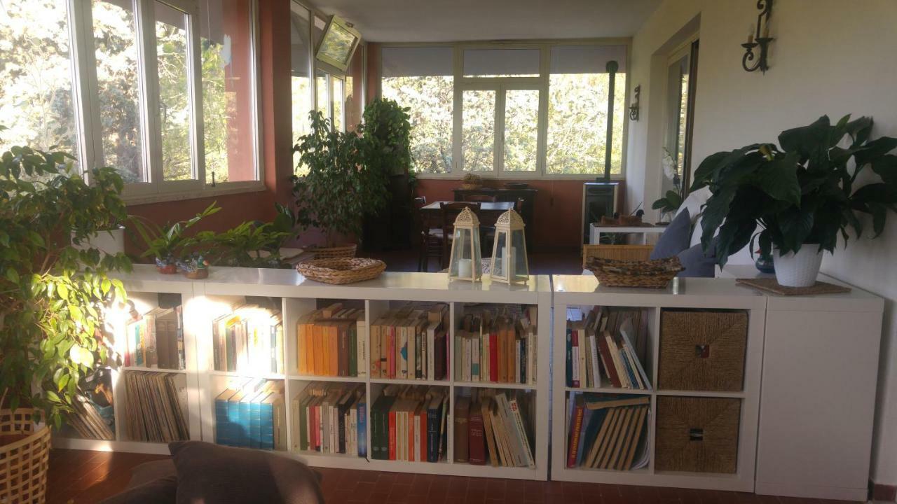 Villa Degli Olmi Allumiere Buitenkant foto